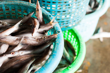 fresh fish in a basket