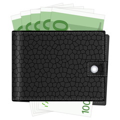 wallet with one hundred euro banknotes