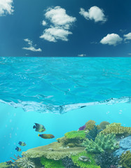 cay under blue water and cloud sky