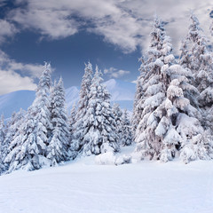 Beautiful winter landscape in the mountains