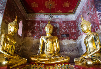 golden buddhas in wat sutat, bangkok Thailand