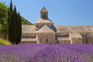 Sénanque Abbey (Provence, France)