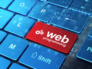 Fototapeta premium Web design concept: Gears and Web Programming on computer keyboa