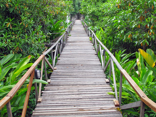 wooden bridge