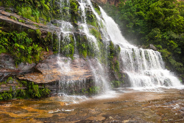 Fototapeta premium Waterfall in Blue Mountains National Park, Australia