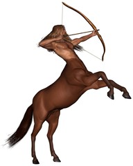 Sagittarius the archer - rearing