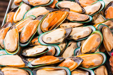  fresh mussels at seafood market