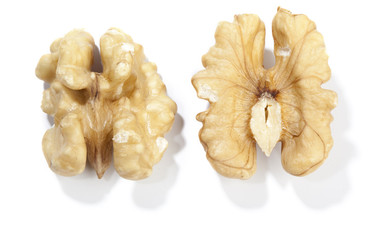 Two halfs of walnut, isolated on white