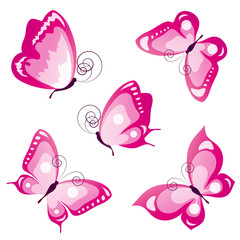 butterflies design