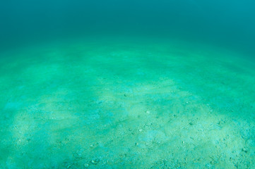 what underwater landscape looks like