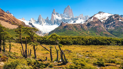 Beautiful landscape with Mt Fitz Roy in Patagonia, South America