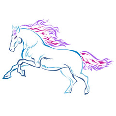 Obraz na płótnie Canvas horse is a symbol of 2014 on a white background
