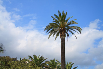 palme - Finale Ligure