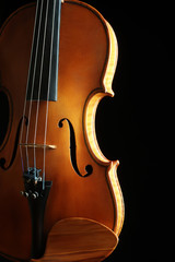 Violin orchestra musical instruments