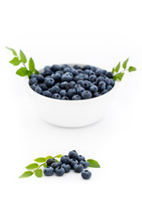 Fresh juicy blueberries in the white bowl