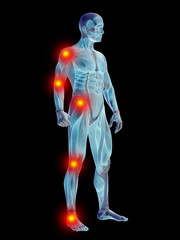3D human man anatomy with articular pain