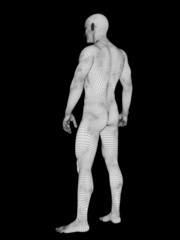 3D wireframe mesh human man anatomy