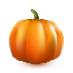 Obraz premium Big yellow pumpkin on white background
