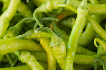 green chili pepper on sale