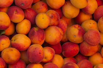 Ripe apricot on pile on green market