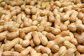 Golden peanuts in shells