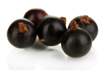 Fresh black currant isolated on white