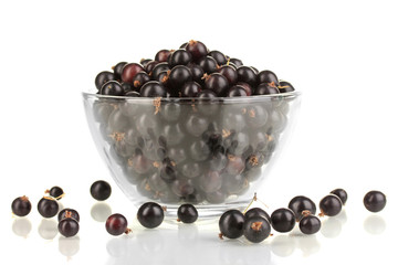 Fresh black currant isolated on white