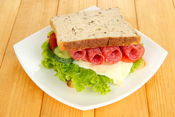 Tasty sandwich with salami sausage and vegetables