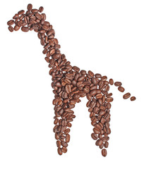 figure of a giraffe made ​​from coffee beans
