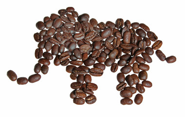 Elephant of coffee, isolated on white