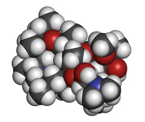 Azithromycin antibiotic drug (macrolide class)
