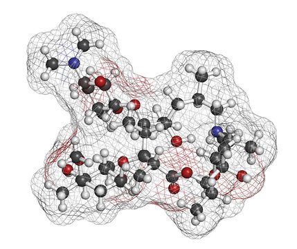 Azithromycin Antibiotic Drug (macrolide Class)