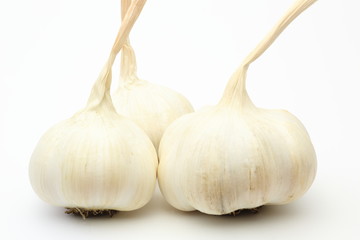 Fototapeta premium ニンニク