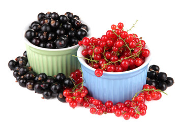 Red and black currant in bowls isolated on white