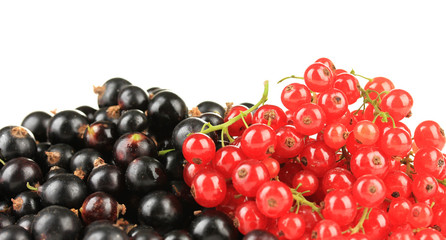 Red and black currant isolated on white