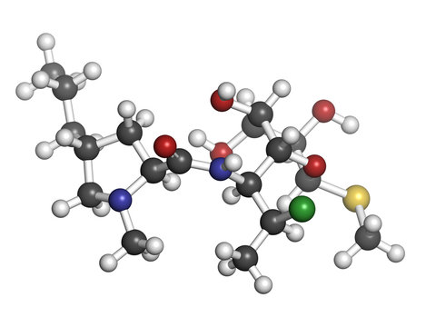 Clindamycin antibiotic drug (lincosamide class)