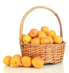 Fresh natural apricot in wicker basket isolated on white