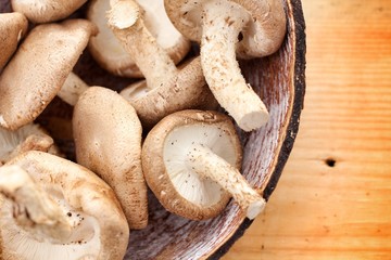 Shiitake mushroom