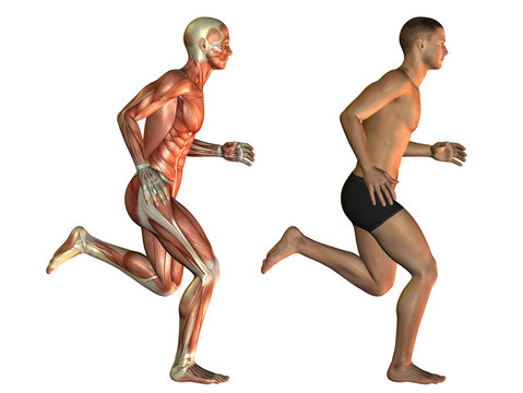 Männlicher Körper beim Laufen