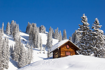 Winter in alps