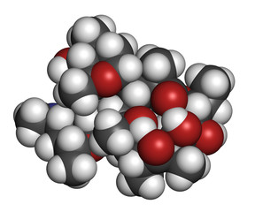 Erythromycin antibiotic drug (macrolide class)