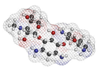 Gentamicin antibiotic drug (aminoglycoside class)