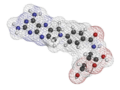 Methotrexate cancer chemotherapy and immunosuppressive drug.