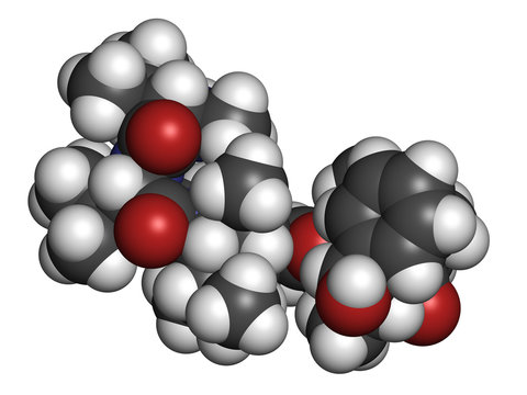 Monomethyl Auristatin E (MMAE, Vedotin), A Cytotoxic Payload