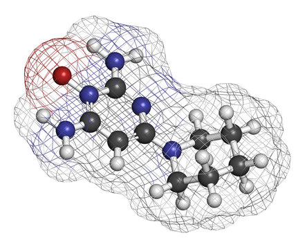 Minoxidil male pattern baldness (androgenic alopecia) drug