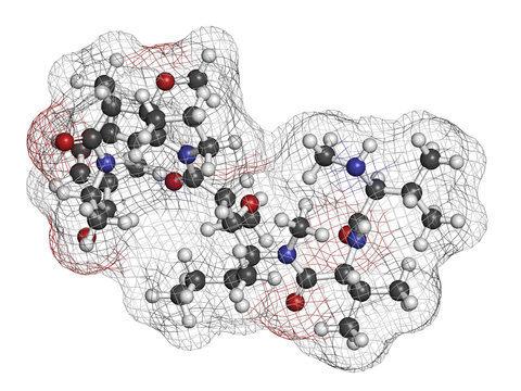 Monomethyl Auristatin E (MMAE, Vedotin), A Cytotoxic Payload.