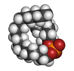 Perifosine investigational cancer drug, chemical structure.