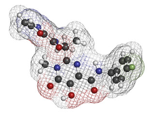 Raltegravir HIV drug (integrase inhibitor class).