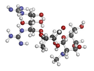 Streptomycin antibiotic drug (aminoglycoside class)