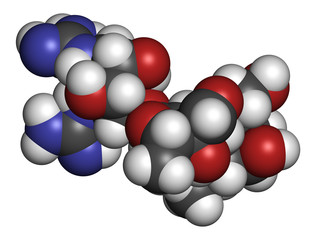 Streptomycin antibiotic drug (aminoglycoside class)